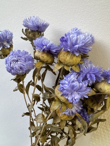 Фантазийные цветы 