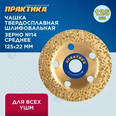 Чашка твёрдосплавная ПРАКТИКА 125 х 22 мм плоская, зерно # 14 среднее (795-361)