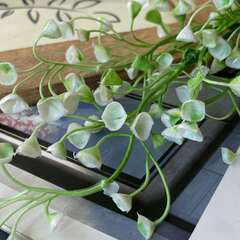 Искусственная зелень  - Гипсофила свисающая, бело-зеленая, 78 см.