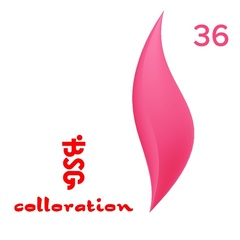 BSG Colloration, №36 Темно-розовый