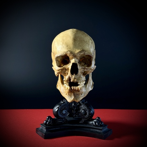 Бюст под головные уборы