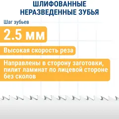 Пилки для лобзика по ламинату ПРАКТИКА тип T101BRF 100 х 75 мм, обратный зуб, BIM (2шт.) (035-844)