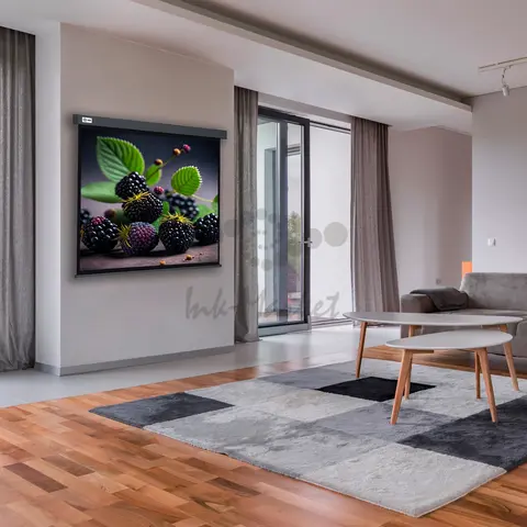 Экран Cactus 71" 127x127см Wallscreen CS-PSW-127X127-SG 1:1 настенно-потолочный рулонный серый