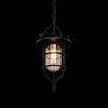 Подвесной светильник Loft It Warehouse LOFT1141