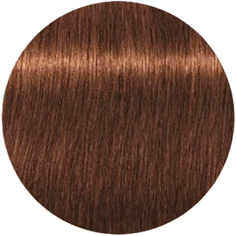 Schwarzkopf Igora Absolutes 6-460 (Темный русый бежевый шоколадный) - Стойкая крем-краска для окрашивания зрелых волос
