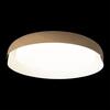 Потолочный светильник Loft It Coin 10198 White