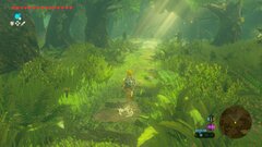 The Legend of Zelda Breath of the Wild (game-key card для Nintendo Switch 2, полностью на русском языке)