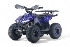 Детский бензиновый квадроцикл RiverToys LEON с электростартером