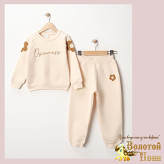 Костюм хл/начес д (3-6) 251105-R1091