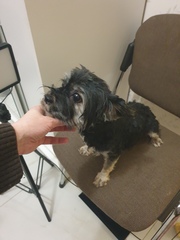 Забрать малышку Тришу домой