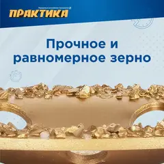 Чашка твёрдосплавная ПРАКТИКА 125 х 22 мм плоская, зерно # 14 среднее (795-361)