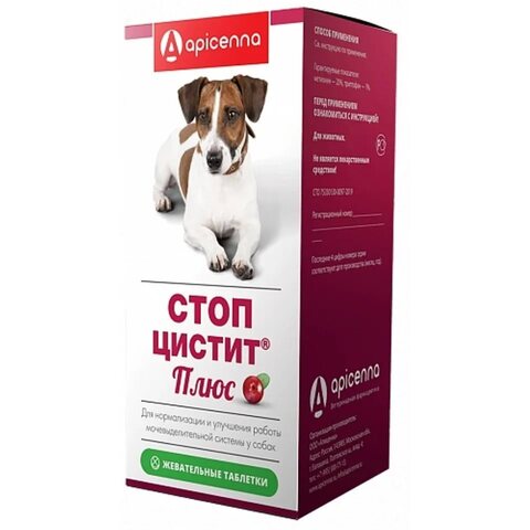 Симптомы и лечение цистита у собаки в домашних условиях