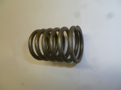 Пружина клапана внешняя TDQ 20 4L/Outer valve spring (2409000300400)