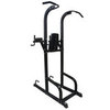 Стойка для подтягиваний DFC POWERGYM PK020