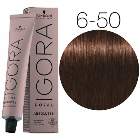 Schwarzkopf Igora Absolutes 6-50 (Темный русый золотистый натуральный) -  Стойкая крем-краска для окрашивания зрелых волос