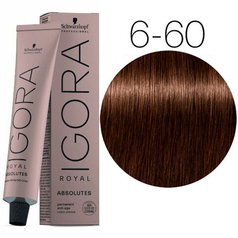 Schwarzkopf Igora Absolutes 6-60 (Темный русый шоколадный натуральный) - Стойкая крем-краска для окрашивания зрелых волос