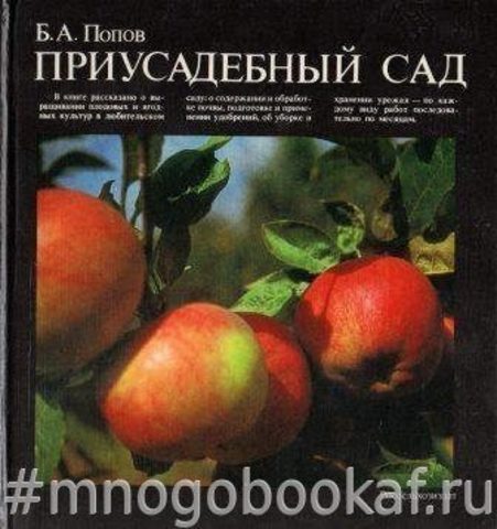 Приусадебный сад