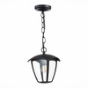 Светильник уличный подвесной ST Luce Sivino SL081.403.01