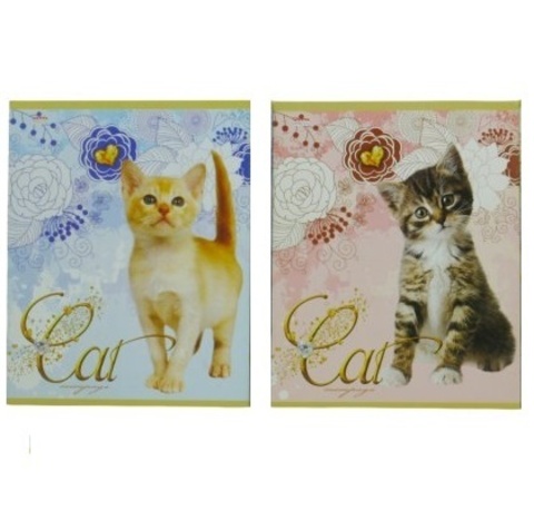 Тетрадь 40лист клет А5 Эконом Лапки и хвосты