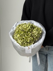 Букет из зеленой гортензии 1 шт