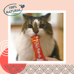 INABA Ciao Churu пюре для кошек курица с лососем 14 г*4