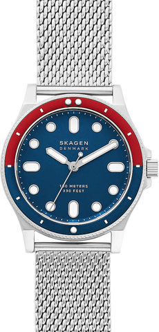 Наручные часы Skagen SKW6668 фото
