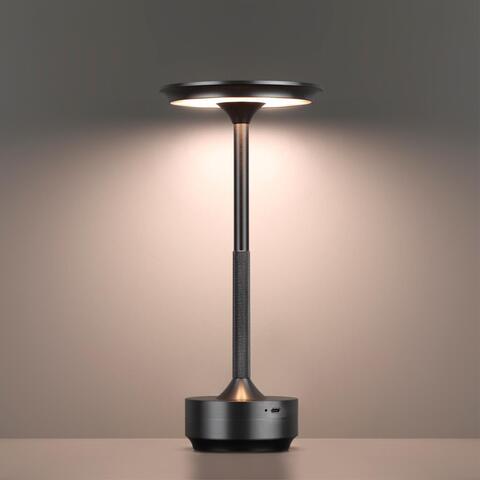 Настольная светодиодная лампа Odeon Light TET-A-TET 5034/6TL