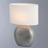 Настольная лампа Arte Lamp Marriot A5144LT-1SI