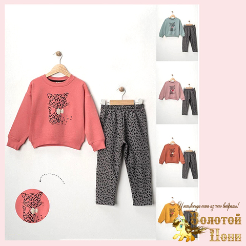 Костюм утепленный д (3-6) 251105-R1092