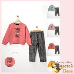 Костюм утепленный д (3-6) 251105-R1092