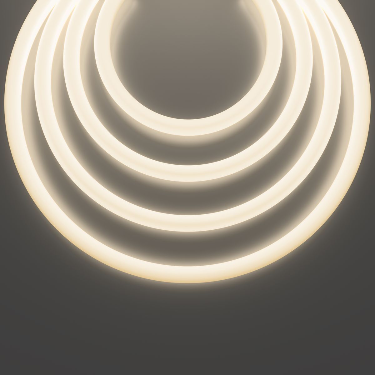 Гибкий неон Maytoni 14,4W/m 2835SMD дневной белый 5M 20302