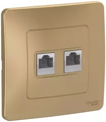 РОЗЕТКА С/У 2-я компьют.+телефон, титан BLNIS045114