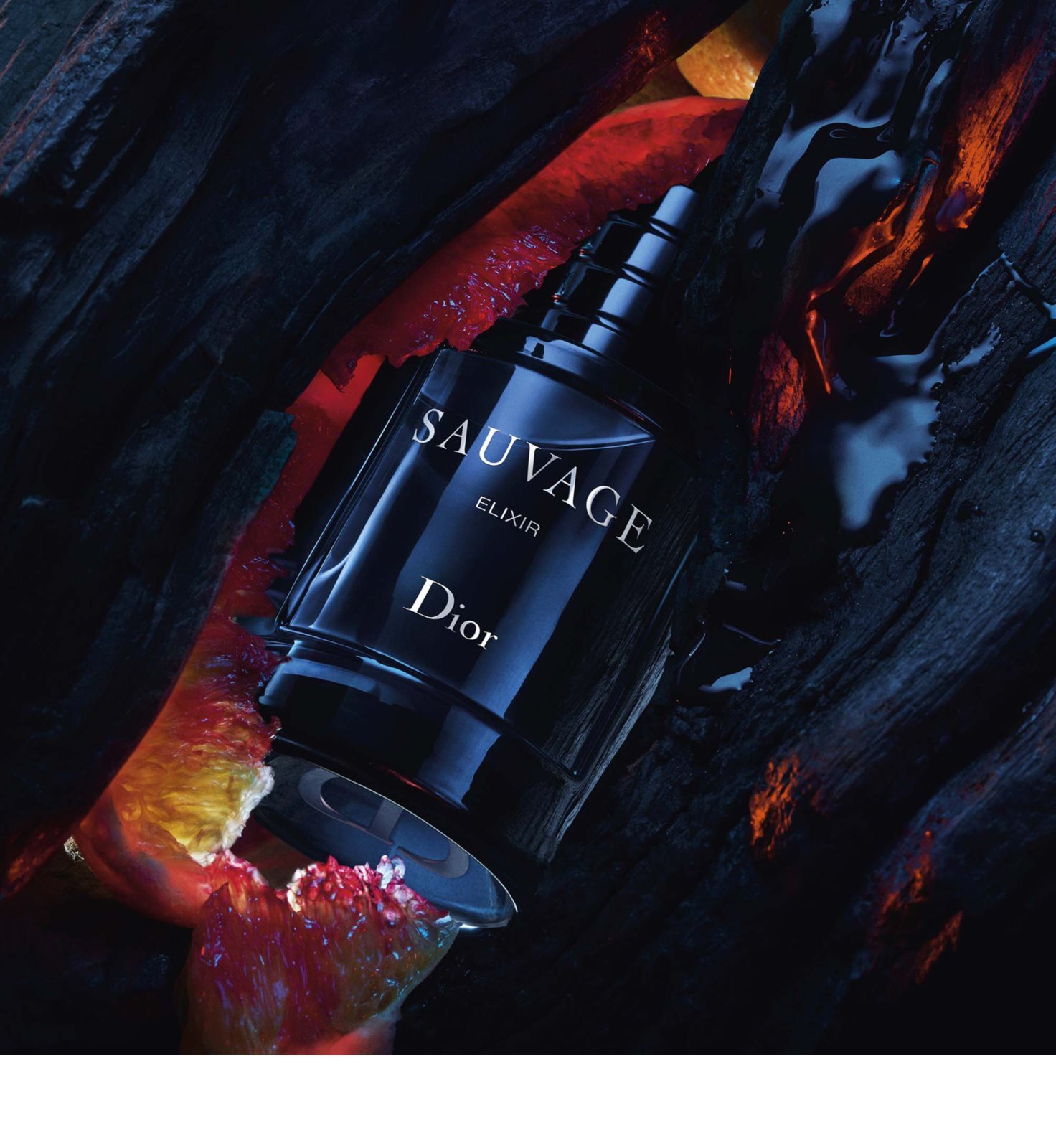 Dior elixir 2025