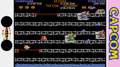 Capcom Arcade 2nd Stadium (для ПК, цифровой код доступа)