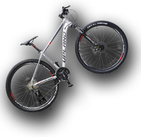 Upland VANGUARD 200 - 29", цвет серый