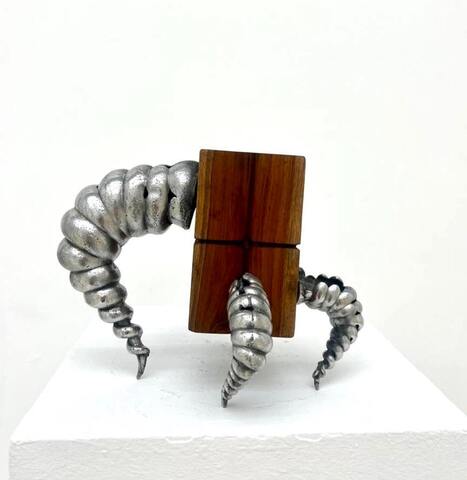 Wood Body Bug #8 из серии «Паранормальные явления» Wood Body Bug #8 из серии «Паранормальные явления»