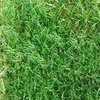 Трава искусственная "Август" 35, ширина 4м, рулон 20м