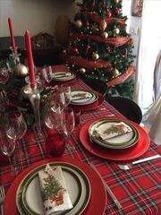 Рогожка 150 Шотландка