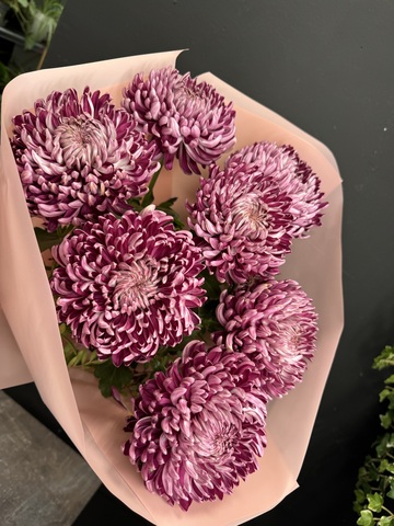 Хризантемы сезонные Бигуди