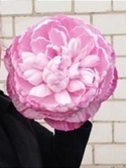 Молд пластиковый 