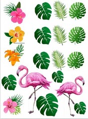 Печать на съедобной бумаге. Тропики