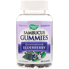 Nature's Way, Sambucus, стандартизированный экстракт бузины, 60 жевательных таблеток