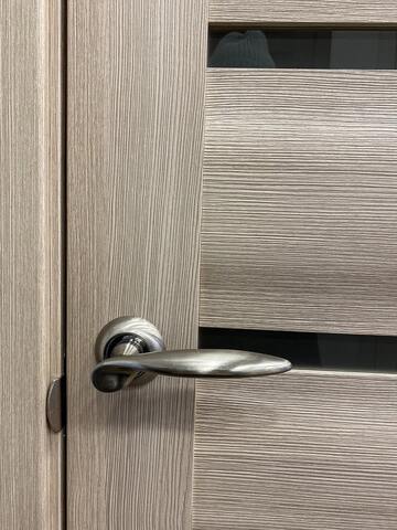 Дверь межкомнатная Альберо (Фрегат) Мегаполис Сидней, цвет мокко лиственница, экошпон, стекло мателюкс #2