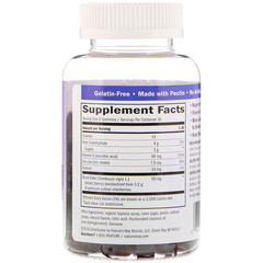 Nature's Way, Sambucus, стандартизированный экстракт бузины, 60 жевательных таблеток