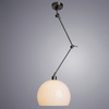 Подвес Arte Lamp Paolo A1733SP-1SS