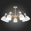 Люстра потолочная Evoluce Balcamo SLE103802-07