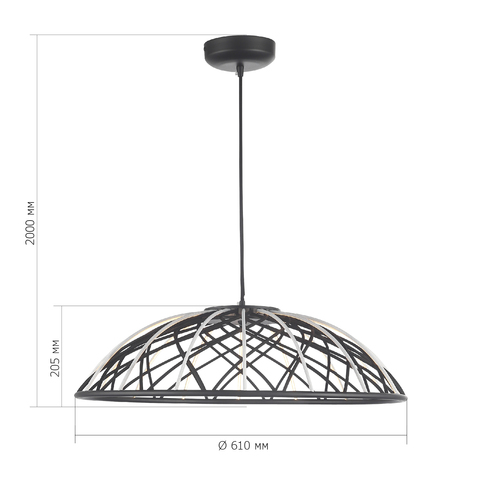 Светильник подвесной ST Luce Bound SL6016.403.01