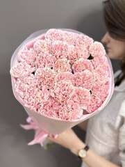 Букет из 25 розовых диантусов