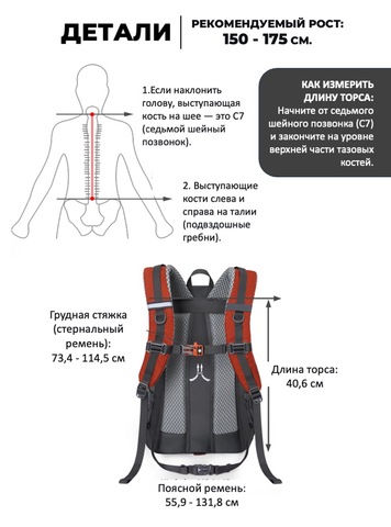 Картинка рюкзак туристический Nevo Rhino 9243-25 Orange - 3