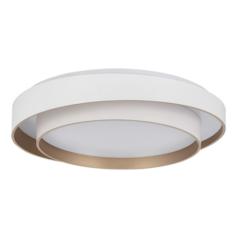 Светильник потолочный Evoluce Crosby SLE6009-502-01